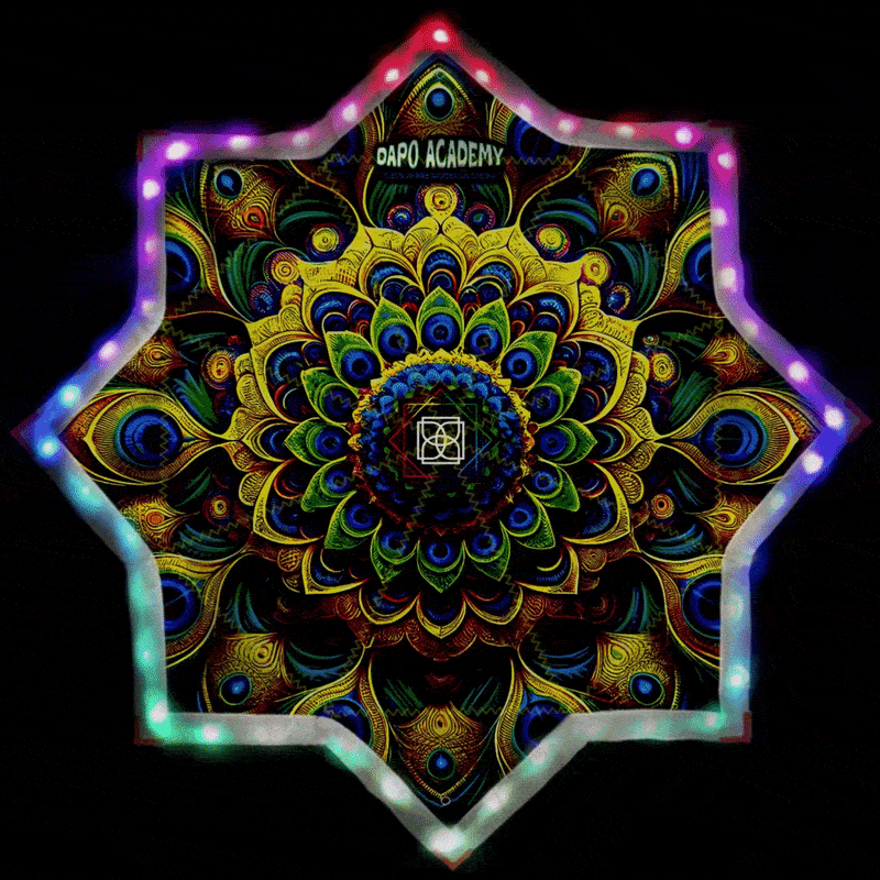 AnjunaBird PRO GlowStar
