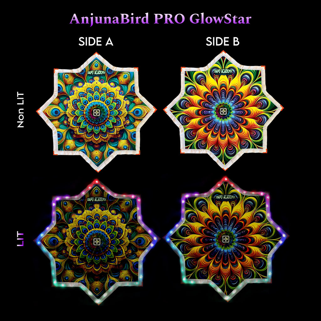 AnjunaBird PRO GlowStar
