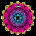 FlowerPower Dapo - 16C