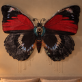 A large butterfly wall art piece with red, black, and blue patterned wings hangs above a neatly made bed in a warmly lit bedroom.
