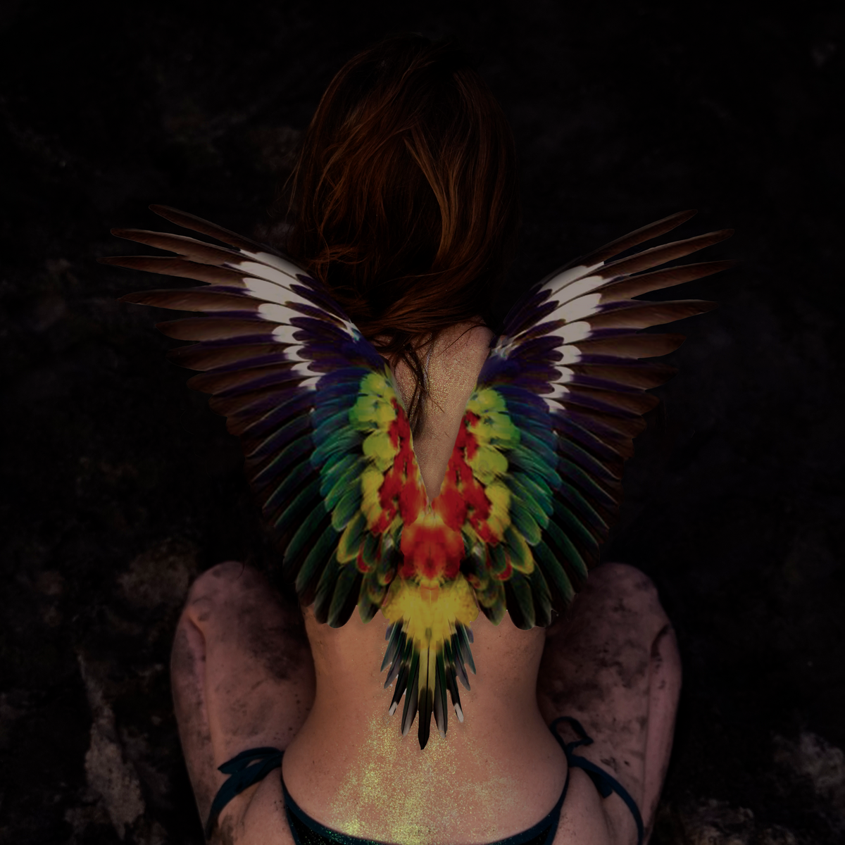 Sunbird Wings