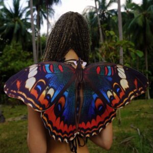 Blue Pansy Butterfly Wings