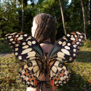 Lime Butterfly Wings