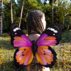 Scarlet Butterfly Wings