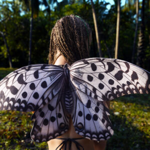 Paper Kite Butterfly Wings