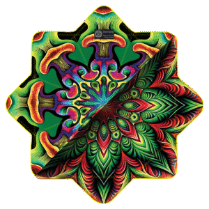 ForestMelon <br> Non LED